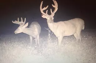 N8771 Fye Rd, Trego, WI 54888 - Photo 10