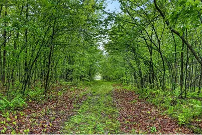 N8771 Fye Road, Trego, WI 54888 - Photo 16