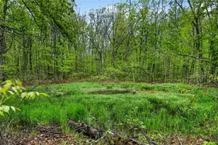 N8771 Fye Rd, Trego, WI 54888 - Photo 36