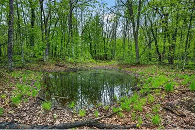 N8771 Fye Road, Trego, WI 54888 - Photo 14