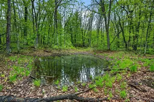N8771 Fye Rd, Trego, WI 54888 - Photo 14