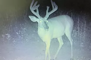 N8771 Fye Rd, Trego, WI 54888 - Photo 12