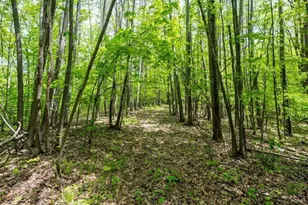 4902 W County Hwy F, Springbrook, WI 54875 - Photo 48