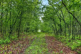 N8771 Fye Rd, Trego, WI 54888 - Photo 28