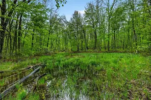 N8771 Fye Rd, Trego, WI 54888 - Photo 24