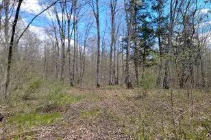 3598N Old J Rd, Winter, WI 54896 - Photo 20