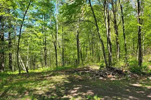 5154 Co Rd X, Webster, WI 54893 - Photo 28