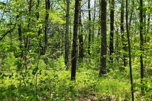 5154 Co Rd X, Webster, WI 54893 - Photo 32
