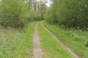 W9002 Moonshine Alley, Catawba, WI 54514 - Photo 40