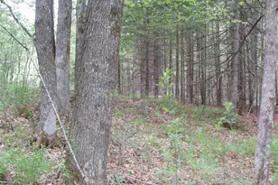 W9002 Moonshine Alley, Catawba, WI 54514 - Photo 32