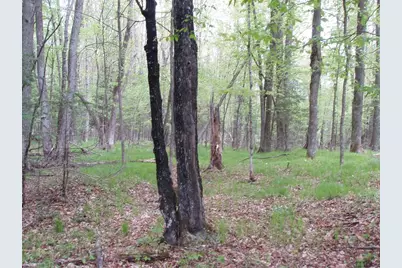 W9002 Moonshine Alley, Catawba, WI 54514 - Photo 34