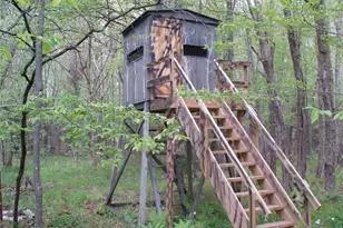 W9002 Moonshine Alley, Catawba, WI 54514 - Photo 8