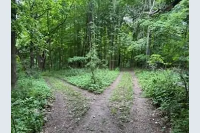 N7265 County Road Bb, Spring Valley, WI 54767 - Photo 28