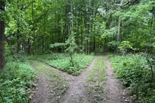N7265 County Road Bb, Spring Valley, WI 54767 - Photo 28