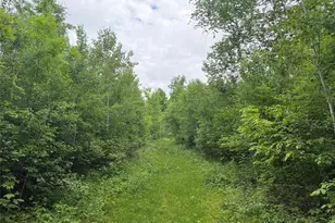 1130 Sunset Ln, Birchwood, WI 54817 - Photo 42