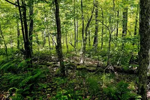 W4241 Walrath Rd, Glen Flora, WI 54526 - Photo 42