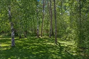 2890 29 9/16 Ave, Birchwood, WI 54817 - Photo 50