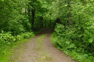 N6659 Kaiser Rd, Hawkins, WI 54530 - Photo 32