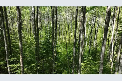 1640 County Rd W, Superior, WI 54880 - Photo 30