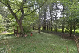 N281 10th Ave, Withee, WI 54498 - Photo 6