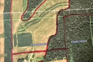 W10050 Co Rd I, Pepin, WI 54759 - Photo 32