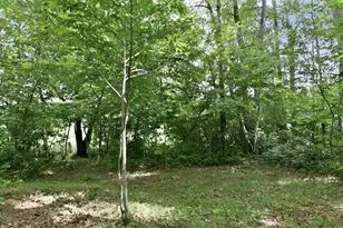 9105W Irvine Dr, Ojibwa, WI 54862 - Photo 42