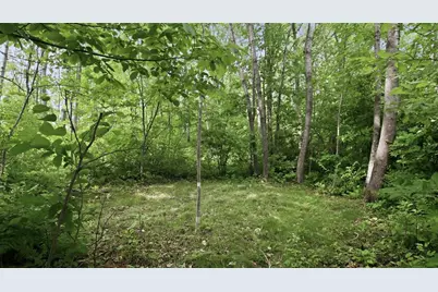 9105W Irvine Drive, Ojibwa, WI 54862 - Photo 44