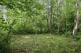 9105W Irvine Dr, Ojibwa, WI 54862 - Photo 44