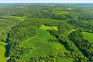 N44681 Hawkenson Valley Rd, Eleva, WI 54738 - Photo 52