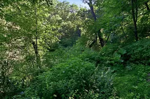 N44681 Hawkenson Valley Rd, Eleva, WI 54738 - Photo 22
