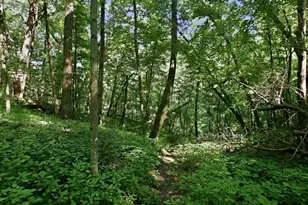 N44681 Hawkenson Valley Rd, Eleva, WI 54738 - Photo 34