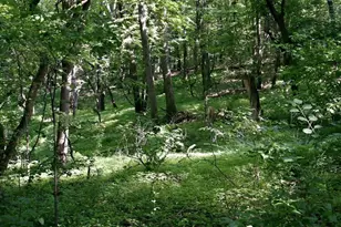 N44681 Hawkenson Valley Rd, Eleva, WI 54738 - Photo 24