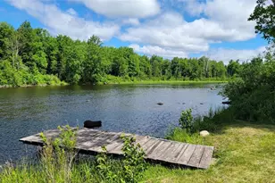 4774W Stone Gate Ln, Winter, WI 54896 - Photo 28