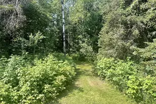75782 Gear Rd, Glidden, WI 54527 - Photo 38