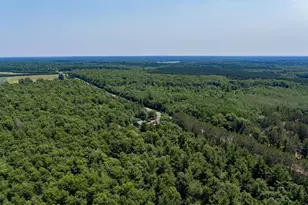 8998 River Rd, Danbury, WI 54830 - Photo 50