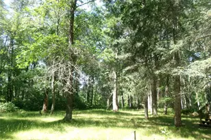 N8151 Cattail Ln, Trego, WI 54888 - Photo 22