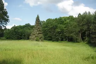 2460N County Hwy Ff, Butternut, WI 54514 - Photo 34
