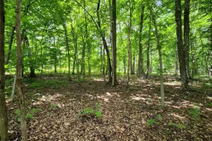 16799 W Maple Terrace Dr, Edgewater, WI 54817 - Photo 12
