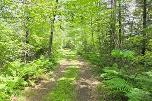 N9850 Woodland Ln, Phillips, WI 54555 - Photo 16