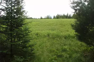 N16798 Bass Lake Rd, Butternut, WI 54514 - Photo 30