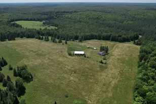 N16798 Bass Lake Rd, Butternut, WI 54514 - Photo 50