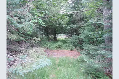 N16798 Bass Lake Road, Butternut, WI 54514 - Photo 38
