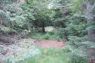N16798 Bass Lake Rd, Butternut, WI 54514 - Photo 38