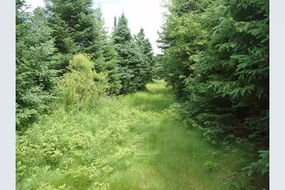 N16798 Bass Lake Road, Butternut, WI 54514 - Photo 32