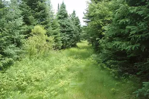 N16798 Bass Lake Rd, Butternut, WI 54514 - Photo 32