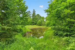 5590 Snowshoe Rd, Barnes, WI 54873 - Photo 32