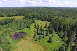 14622 S Swedish Hwy, Dairyland, WI 54830 - Photo 56