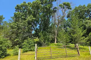 N12725 Little Sweden Rd, Osseo, WI 54758 - Photo 48