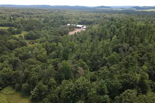 W15236 Taylor Rd, Taylor, WI 54659 - Photo 38