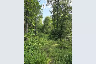 30485 White Tail Drive, Danbury, WI 54830 - Photo 20
